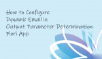 How to Configure Dynamic Email in Output Parameter Determination