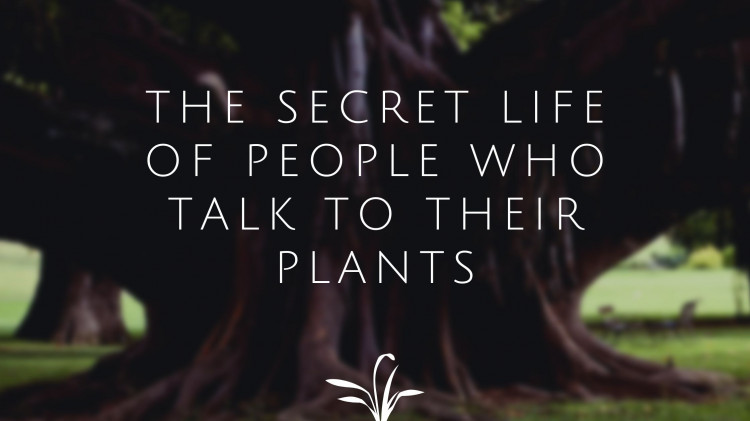 The Secret Life of People Who Talk to Their Plants