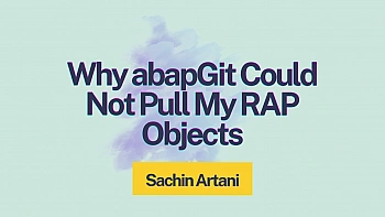 Why abapGit Could Not Pull My RAP Objects