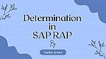 Understanding Determination in SAP RAP