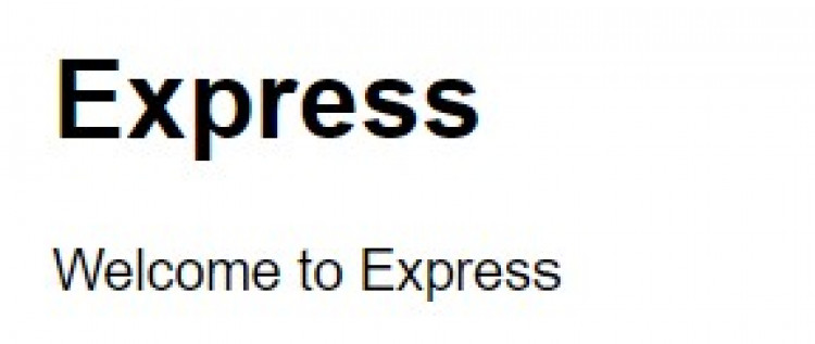 Express JS rest api preview