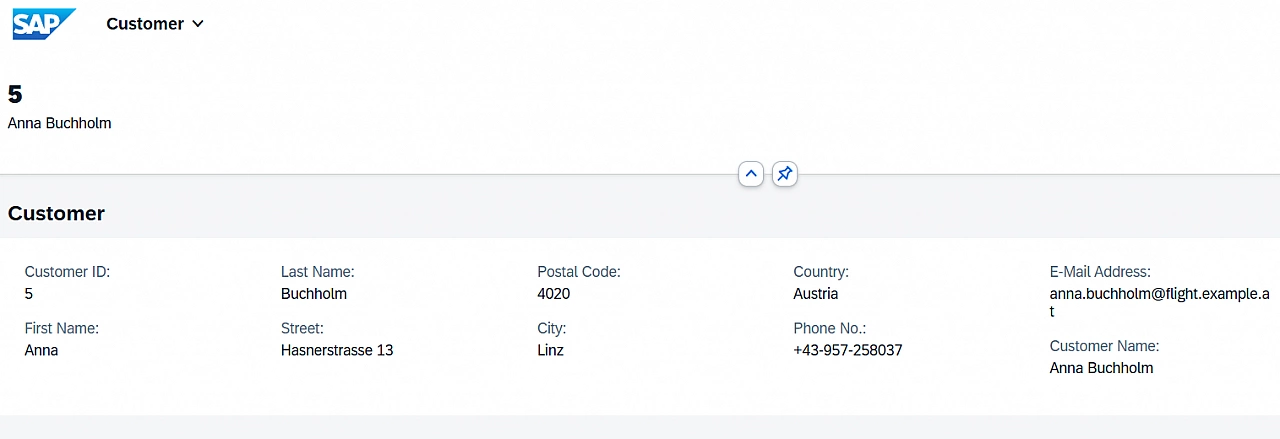  Custom Entity object page
